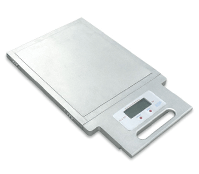Weigh Pad for Racing Car